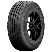 Шины Fortune Perfectus FSR602 195/65 R15 91H